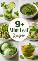mint-leaf-ccccc-64466