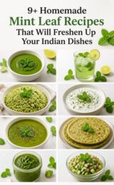 9+ Homemade Mint Leaf Recipes That Will Freshen Up Your Indian Dishes mint-leaf-ccccc-99006