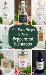 peppermint-schnapps-ccccc-89787