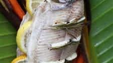 Rosemary Garlic Trout
