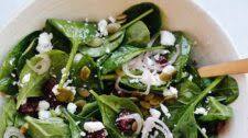 Spinach Cranberry Goat Cheese Salad
