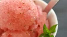Watermelon Mint Sorbet