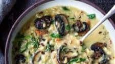 Instant Pot Wild Rice Soup