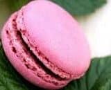 Macaron rose à la framboise