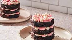 Mini Chocolate Raspberry Cake