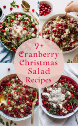 cranberry-christmas-salad-recipes-bbbbb-15850
