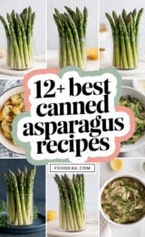 12-best-canned-asparagus-recipes-ccccc-57442