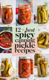 12-best-spicy-canning-pickle-recipes-bbbbb-22213