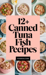12-canned-tuna-fish-recipes-ccccc-94258