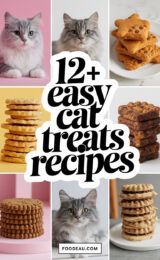12-easy-cat-treats-recipes-ccccc-87589