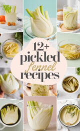 12-pickled-fennel-recipes-bbbbb-37697