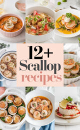 12-scallop-recipes-bbbbb-72206