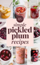 12-simple-pickled-plum-recipes-bbbbb-90312