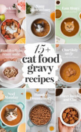 15-cat-food-gravy-recipes-bbbbb-57248