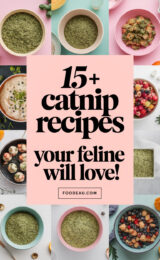 15-catnip-recipes-your-feline-will-love-ccccc-31199