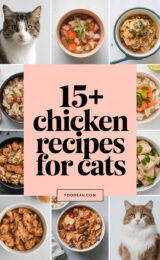 15-chicken-recipes-for-cats-ccccc-27086