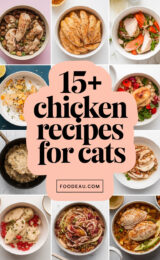 15-chicken-recipes-for-cats-ccccc-31971
