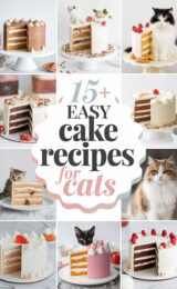 15-easy-cake-recipes-for-cats-bbbbb-50738