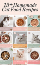 15-homemade-cat-food-recipes-bbbbb-60831