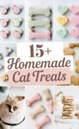 15-homemade-cat-treats-bbbbb-13808