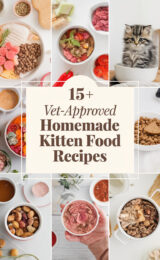 15-vet-approved-homemade-kitten-food-recipes-bbbbb-75456