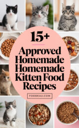 15-vet-approved-homemade-kitten-food-recipes-ccccc-77139