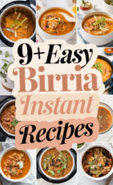 9-easy-birria-instant-pot-recipes-bbbbb-53176