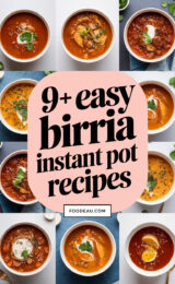 9-easy-birria-instant-pot-recipes-ccccc-71821