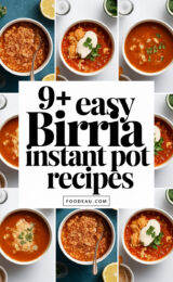 9-easy-birria-instant-pot-recipes-ccccc-98303