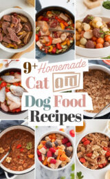 9-homemade-cat-and-dog-food-recipes-bbbbb-93903