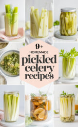 9-homemade-pickled-celery-recipes-bbbbb-50522