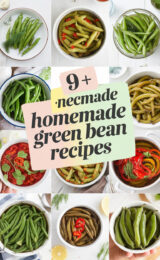 9-homemade-pickled-green-bean-recipes-bbbbb-53911