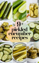9-pickled-cucumber-recipes-bbbbb-34616