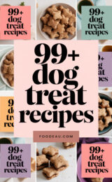 99-dog-treat-recipes-ccccc-78289