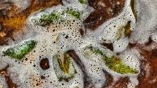 Brown Butter Sage Sauce