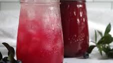 Canning Blueberry Lemonade Concentrate