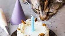 Cat Birthday Cake