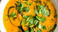 Chicken and Pumpkin Soup (AIP, paleo, Whole30)
