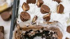Chocolate Peanut Butter Oreo Delight