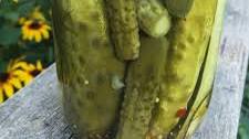 Classic Garlic Dill Pickles