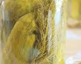 Easy Dill Pickle Recipe