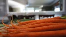 Garlic & Dill Pickled Carrots