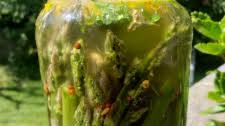 Great for your Gut! Super Easy Crunchy Pickled Asparagus