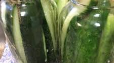 Homemade Apple Cider Dill Pickle Recipe