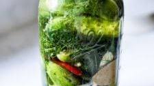 Homemade Pickles with Garlic and Dill