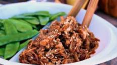 Honey Garlic Shredded Chicken