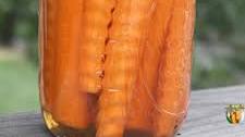 Pickled Carrots