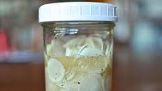 Pickled Hakurei Turnips