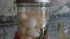 Pickled Quail Eggs