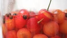 Pickled Sour Cherries